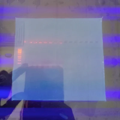 My students having hands-on experience with Agarose electrophoresis.