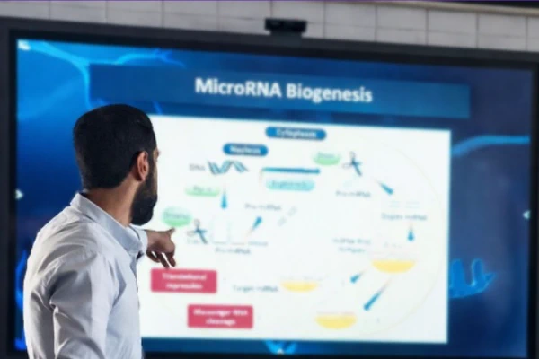 Snippets from My Master’s Journey