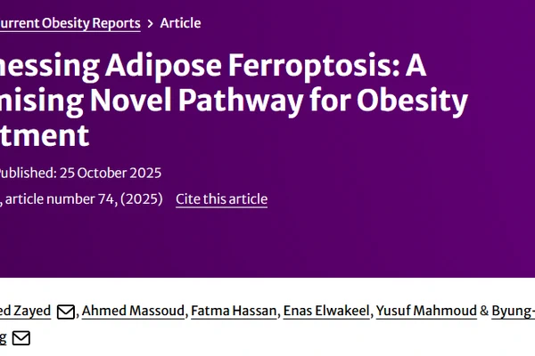 Harnessing Adipose Ferroptosis: A Promising Novel Pathway for Obesity Treatment