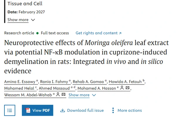 Neuroprotective effects of Moringa oleifera leaf extract via potential NF-κB modulation in cuprizone-induced demyelination in rats: Integrated in vivo and in silico evidence