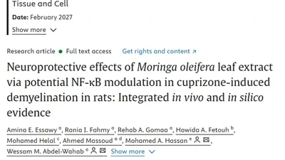 Neuroprotective effects of Moringa oleifera leaf extract via potential NF-κB modulation in cuprizone-induced demyelination in rats: Integrated in vivo and in silico evidence featured image